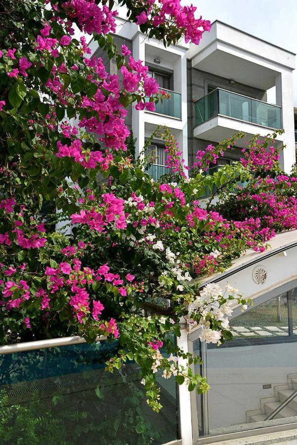 Royal Palm Residence Bodrum Kültér fotó